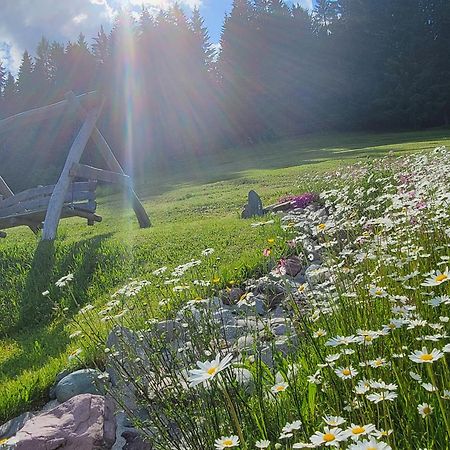Ferienhof Obertenn Hochfilzen Εξωτερικό φωτογραφία