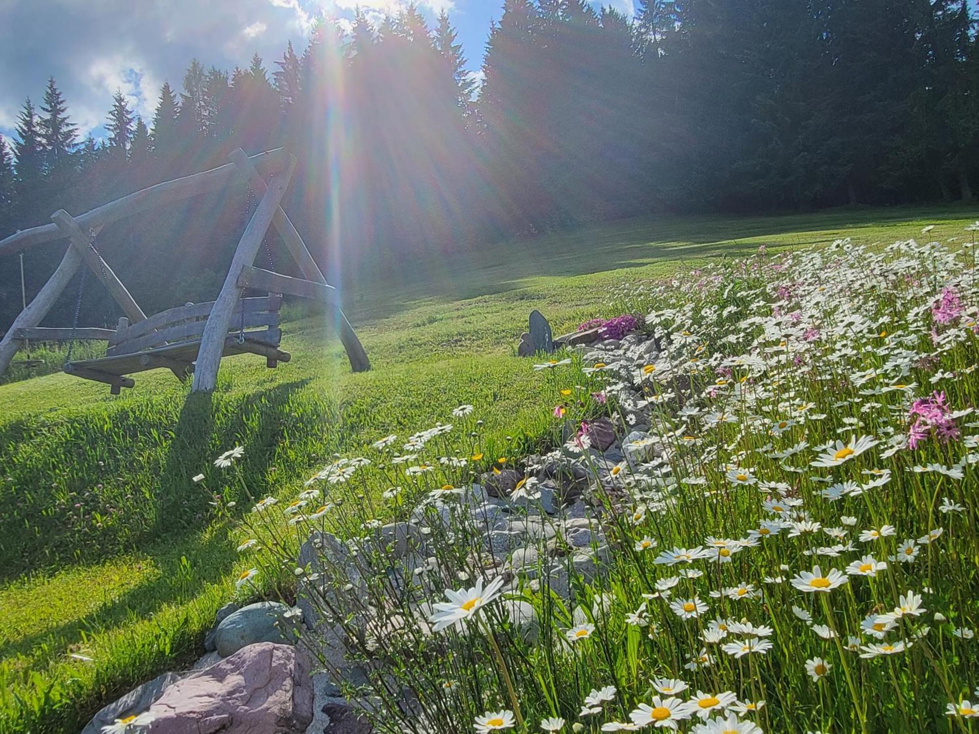 Ferienhof Obertenn Hochfilzen Εξωτερικό φωτογραφία